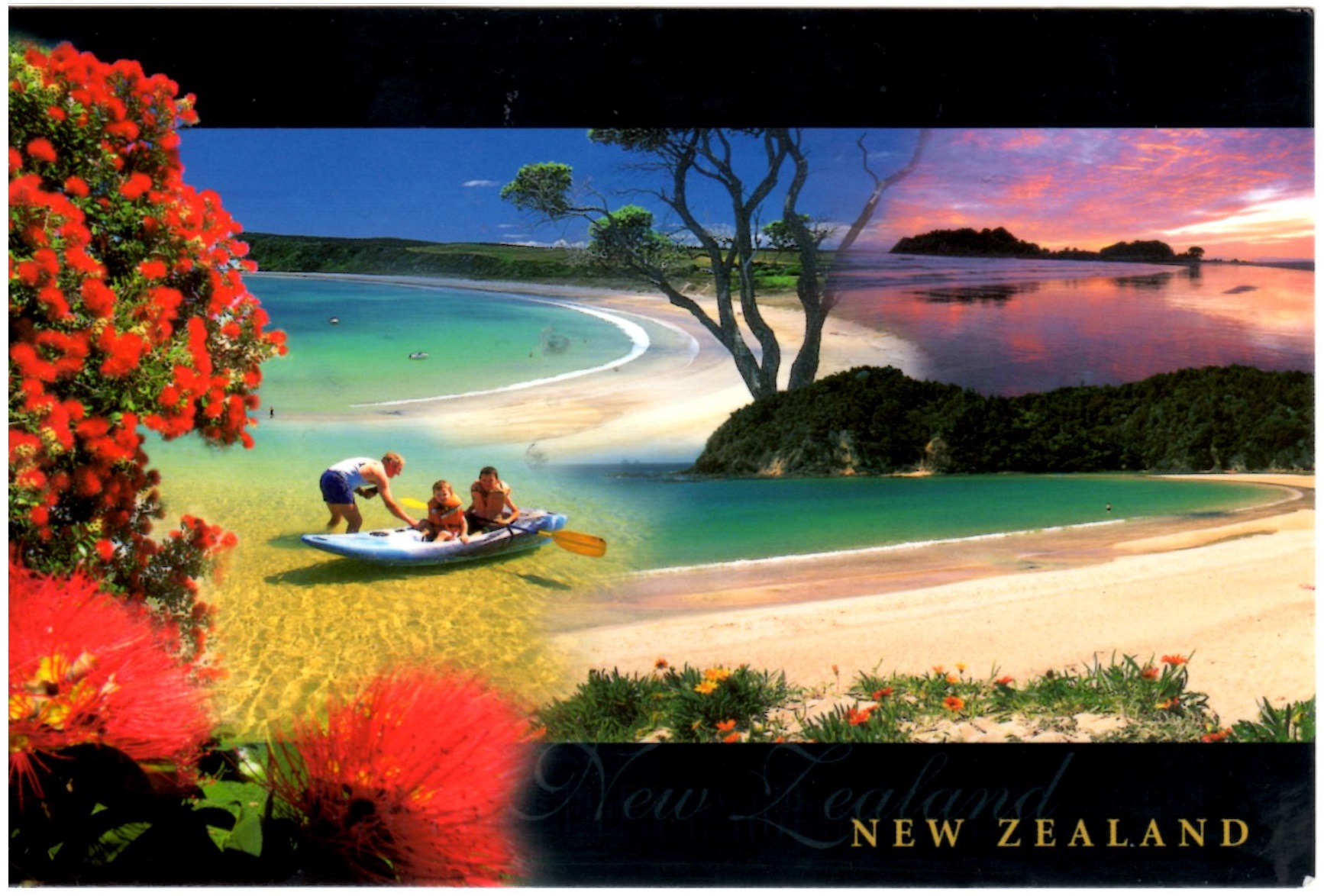 Image result for postcard new zealand